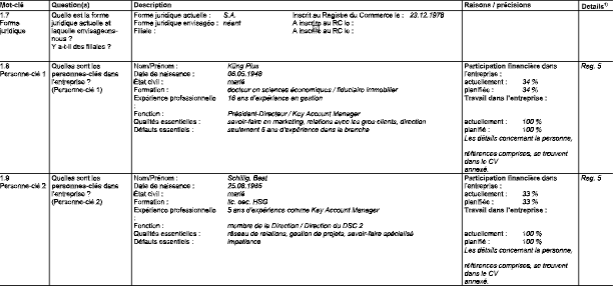 Business Plan UBS Planification de la stratégie et base de financement Modèle pour une moyenne entreprise image 139