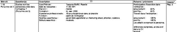 Business Plan UBS Planification de la stratégie et base de financement Modèle pour une moyenne entreprise image 140