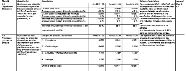 Business Plan UBS Planification de la stratégie et base de financement Modèle pour une moyenne entreprise image 162
