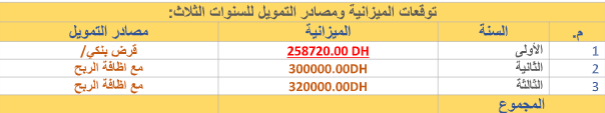دراسة جدوى:مقاولة بناء image 189