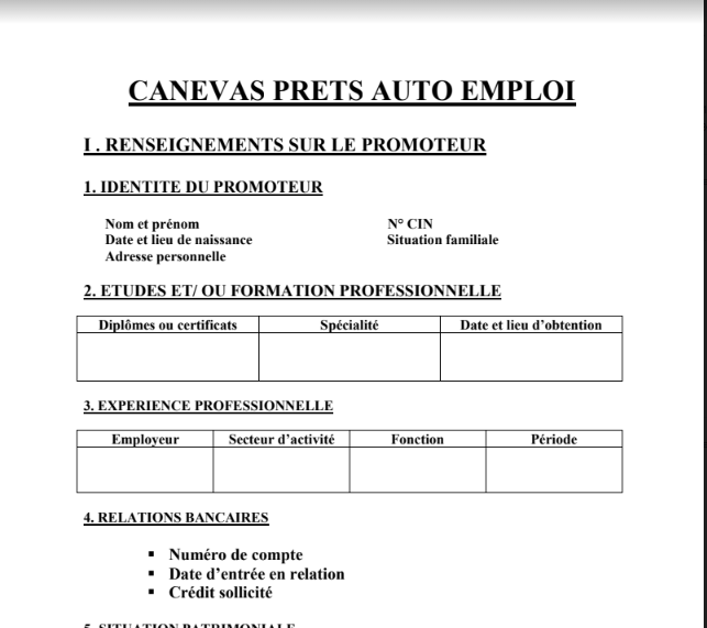 canevas prêts auto emploi