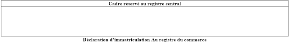 registre de commerce et déclaration d'immatriculation image 4