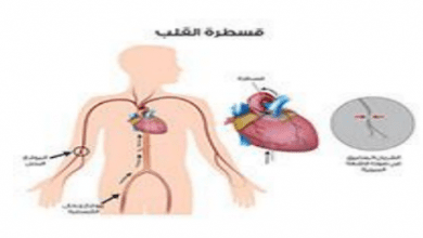 ماذا نقصد باإلختبارات الفيزيولوجية الكهربائية للقلب ؟