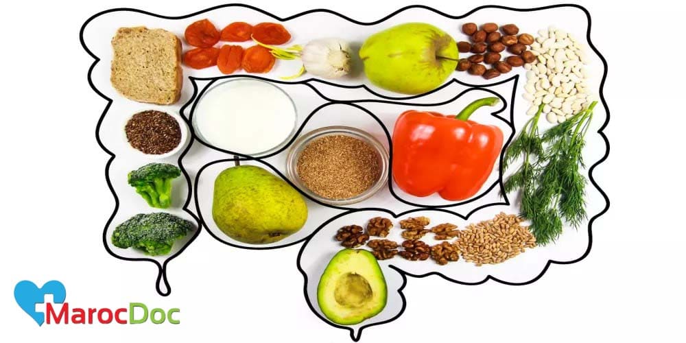 البروبيوتيك وتحسين امتصاص العناصر الغذائية البروبيوتيك الطبيعي