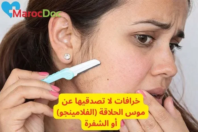 إزالة الشعر بموس الحلاقة أو الفلامينجو بين المعتقدات الشعبية والحقائق العلمية حول نمو الشعر وكثافته عند النساء
